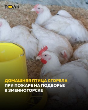 20 �������� ���� ������� ��� ������ �� �������� � ������������