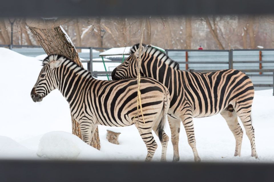 �� ����� ������ � ��������� ���� ���������� ���������� ������