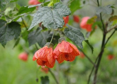 ������ �������� ������ ��������� ������� ����� ��� ������ ����