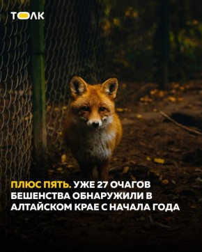 ��� 5 ����� ������� ��������� ������������� � ��������� ����