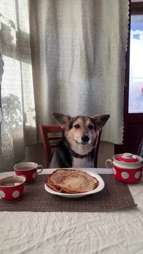 ������ ����, ��������� ����!�