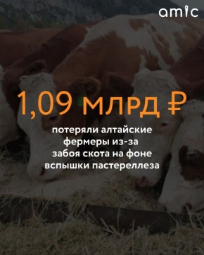  ��������� ���� ������� �������� ����� ������ ��������� ������ ��-�� ����� ����� ������ ������� ������������, ����� ���������� ��������� �������������� ������ ����������.������.�����