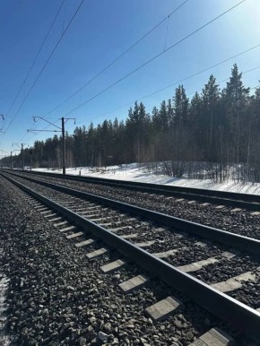 Пьяный пешеход пострадал под поездом в Алтайском крае