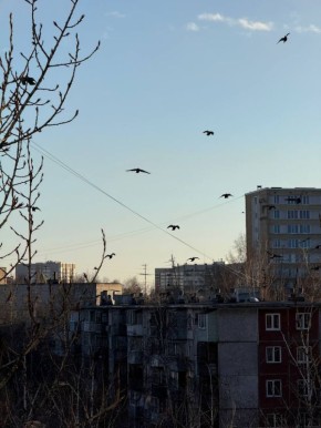 Начинается новый рабочий день