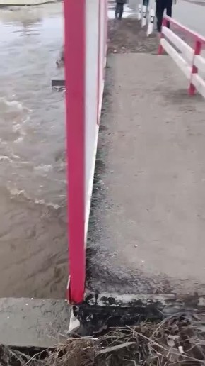 В Михайловском районе талые воды с полей зашли в населённые пункты