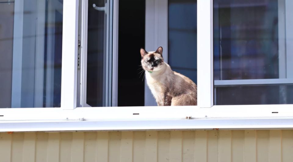 �������� ������� �� �������� 107 �������� ��������� �����