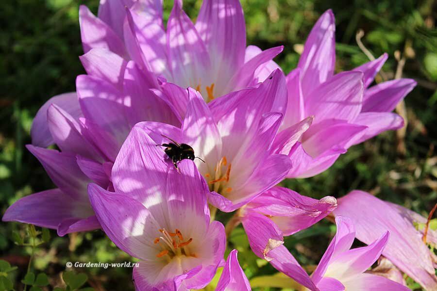 ������������: ����� �������� ���� � ������� ��� �����������