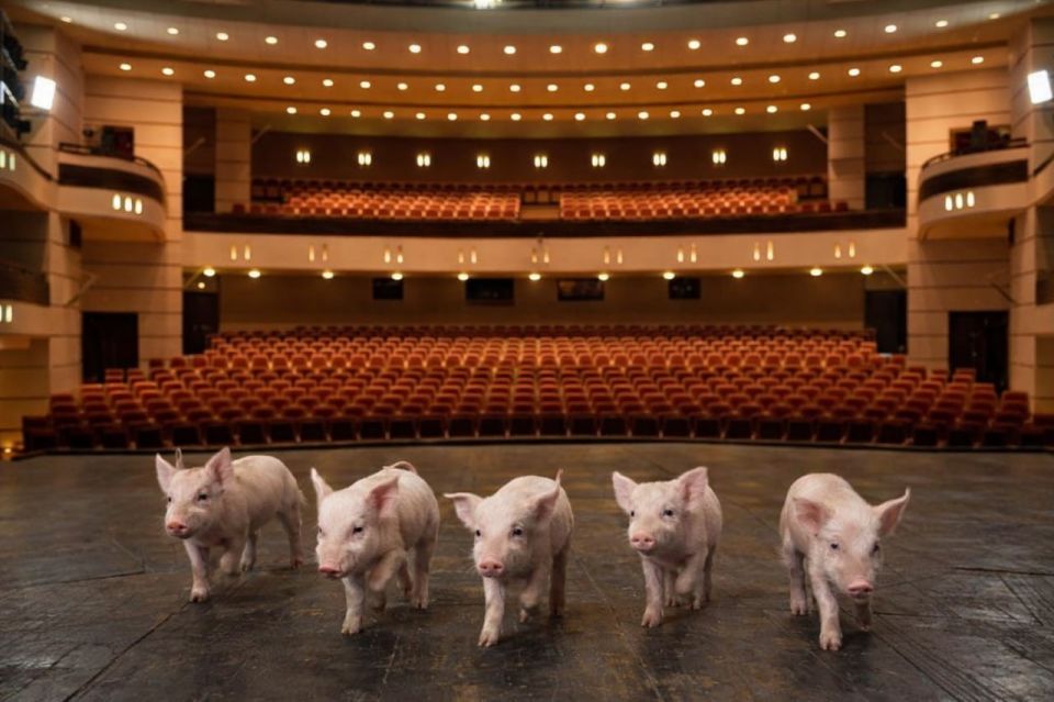 ����� ����� ���� ���� �������� �������