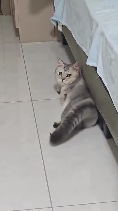 ������ ����, ��������� ����!