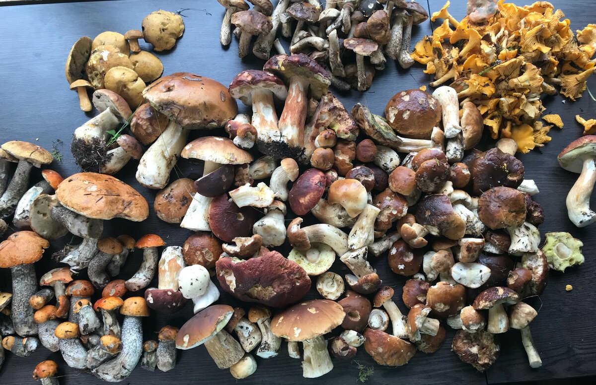 Как приготовить ароматные маринованные грибы