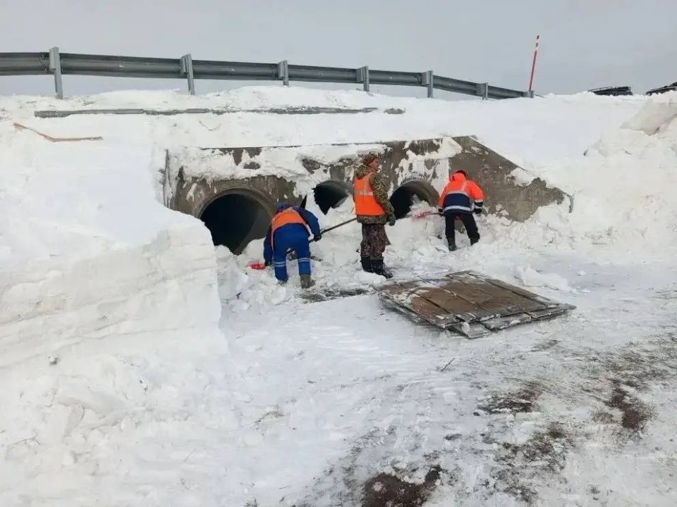 ��������� ���������� ���� �������� ����������������� �����������