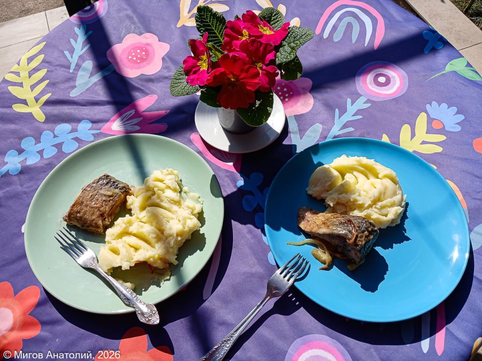 ������ ��������� �� ������������� �����: ������� ����� �� ����