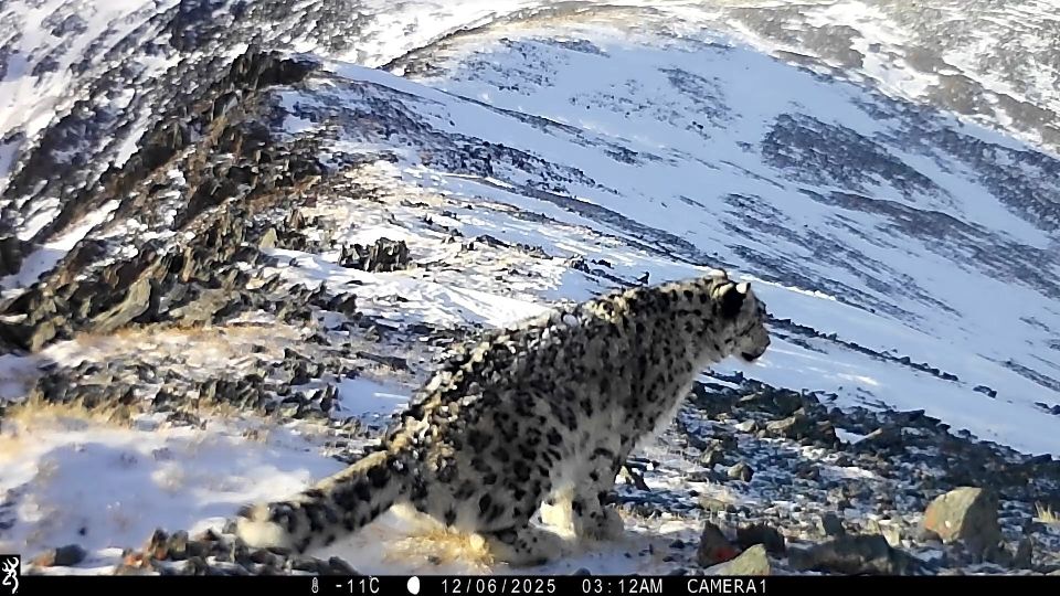 ����������� ������� �� ����� ���������� �������� ����� �� ��������