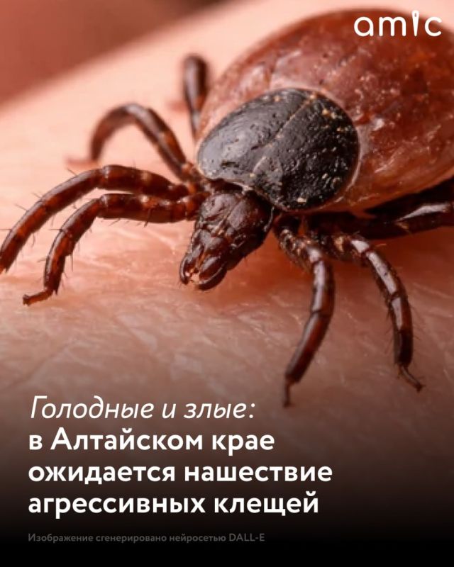 ���� ������ � ������ ��������� ��������� ����� ����������� ������ � � ������ ������ ������ ����������������, ��������� ��������� �������� � ����������� ���������� �������������� ��������������� ���� ���������