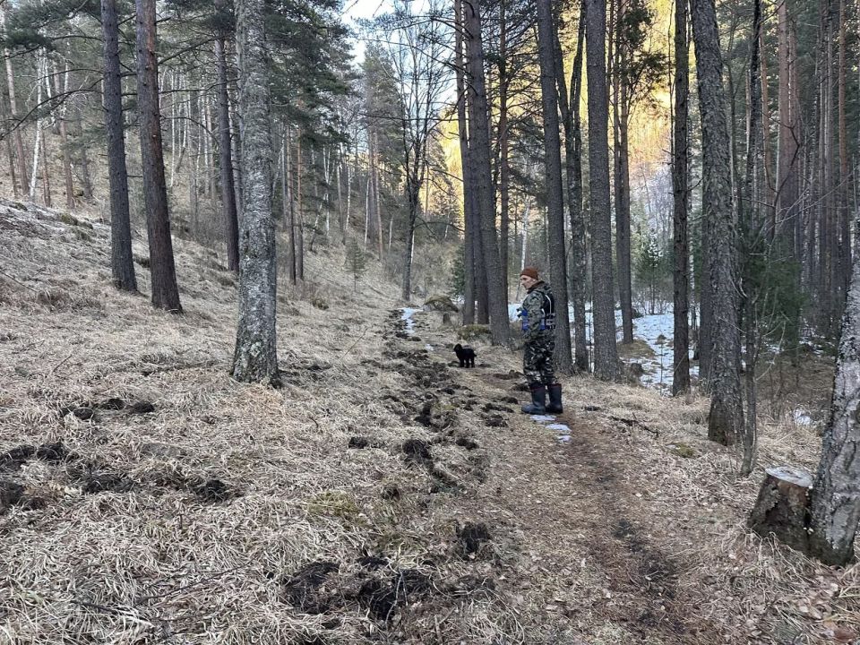 268 �������� ��������� � ��������� ����������� ������