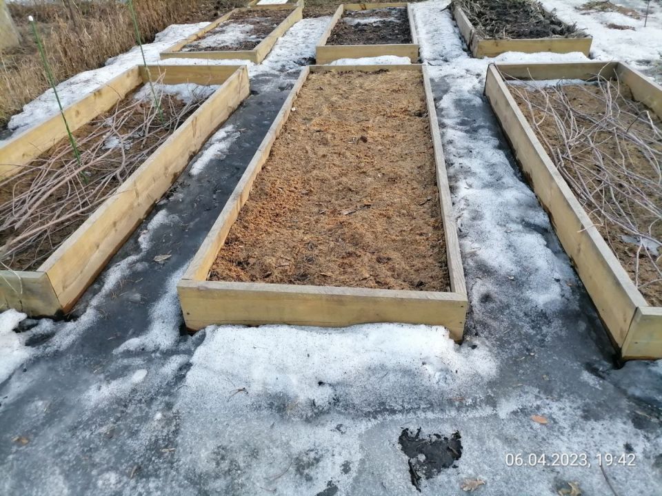 ����� ����� ���������: ������ ���� �� �������