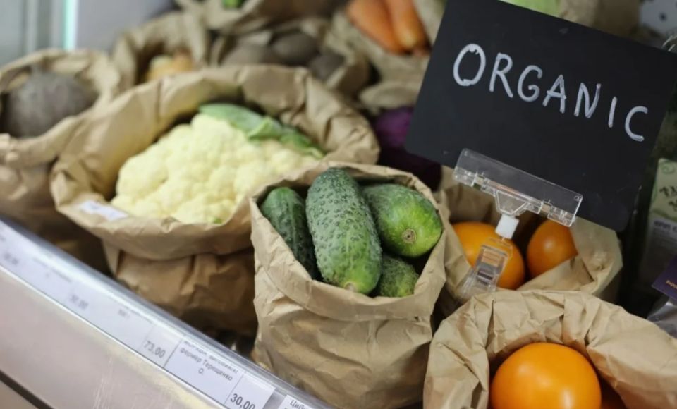 ������������ ��������: ���� � ����������