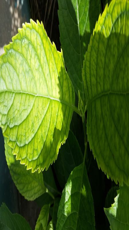 ��� ������ ��������� �� �������: ������� ������� ������ ������