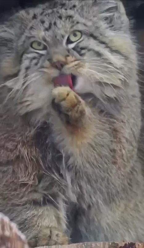 ��������� ����� �� ���������