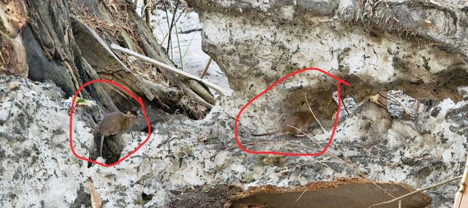 ������� �������� �� ������������ ����� �������� �������� � ������ ��