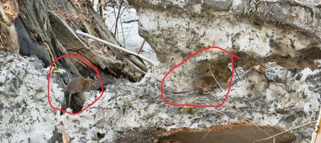 ������� �������� �� ������������ ����� �������� �������� � ������ ��