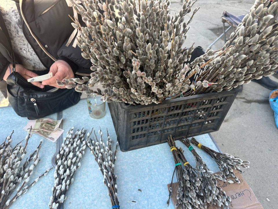 � �������� ������ ������� ����� � ����� ������ ������� �� 50 �� 200 ������