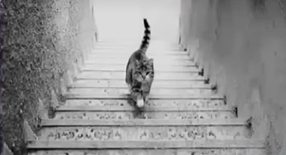 ������ ����, ��������� ����!