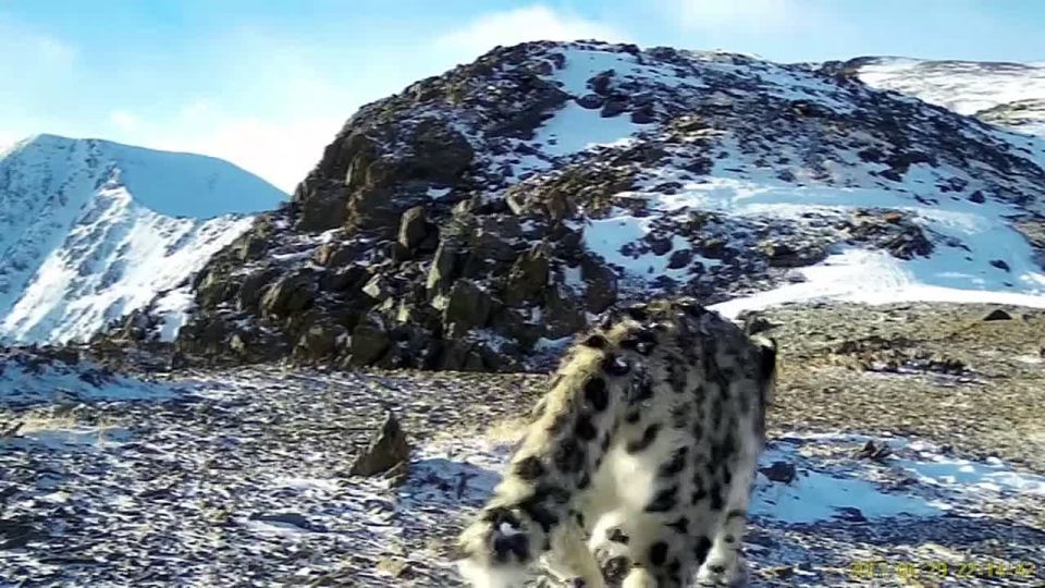 �� ����� ������ ������� ������� ����� � ����� ������� � ���� ���������� ��� �����������