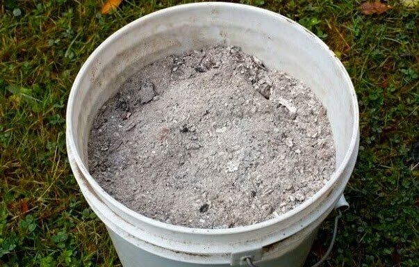 ����� ���� ���������� ������: ����� �������� �� ������ ���� ���������