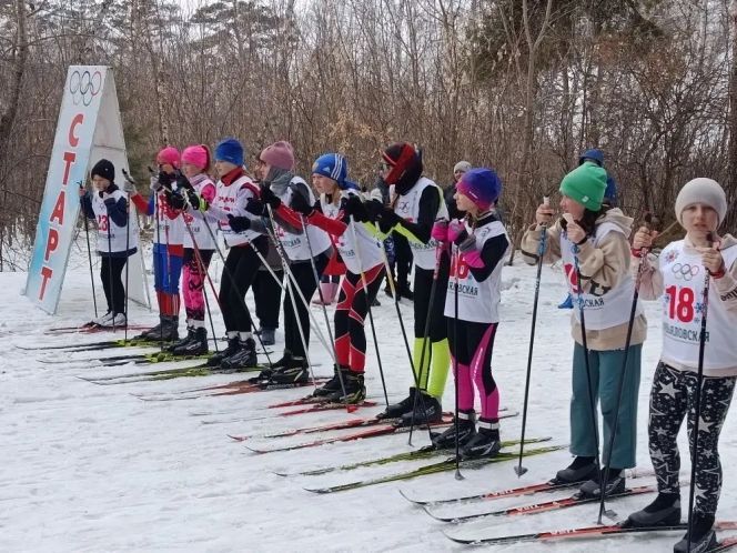 ����� ����������: ������ ��������, ����������� ���� �������� ������� ������, ������ � ������������ ������