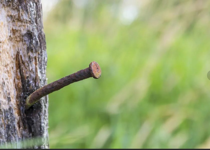 ����������� ������, ��� ������ ��������� ������ ����������� �� ������ ��������