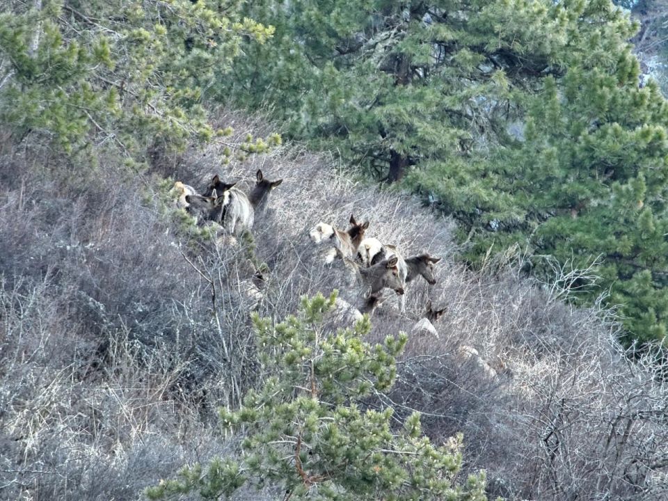 ������� ������� �� ������?