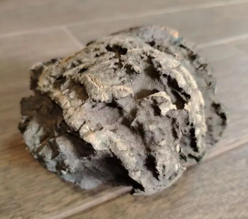 "�������� � ������� ������": � ������ ��������� �� ������� �������� ���� (�� ��� �� �����)