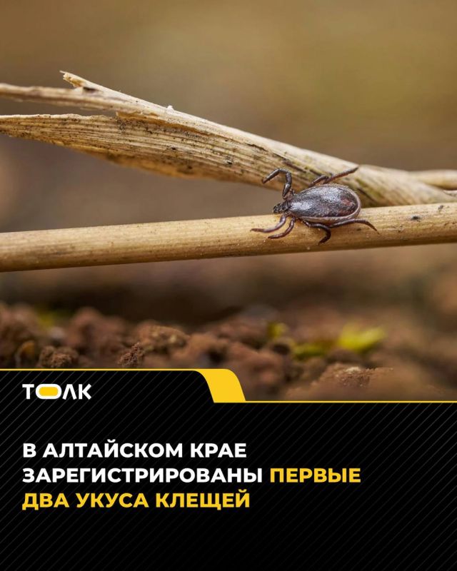 � ��������� ���� ������������� ��� ��� ������ ������ ������