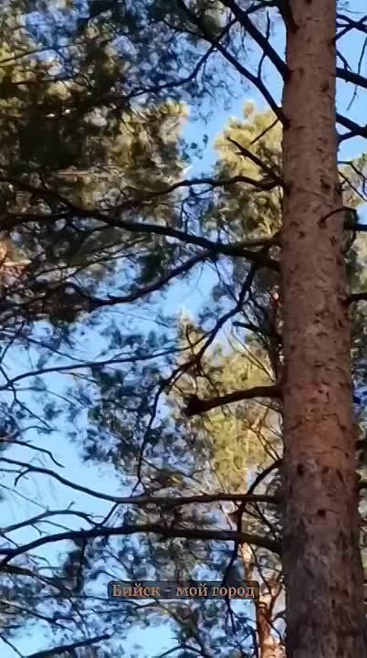 �������� ����� ����� � �����! ��������, �����������