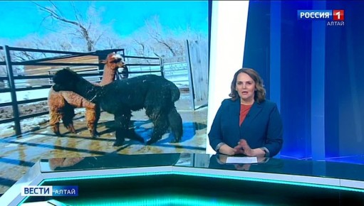 � ������������ �������� �������-������� ���� � ���� � ������� ������������� ������ ��� �������� �������