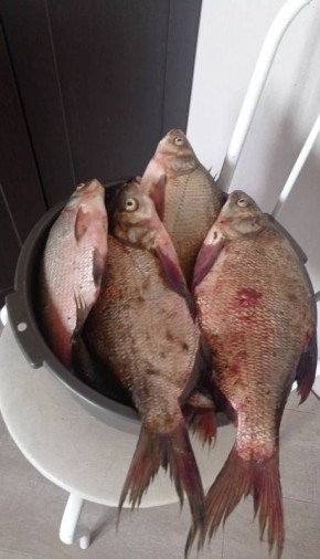 ������ ���������� ���� �������� ���� ����� � ������ ������