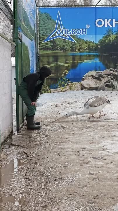 � ������������ �������� ����� ���������� �������