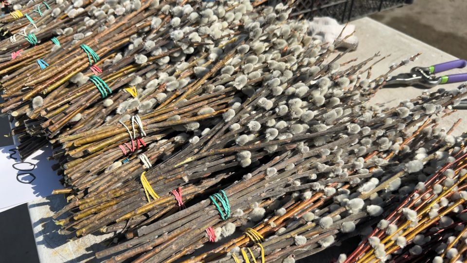 ��� ������ � ������ ����� �������� �����������