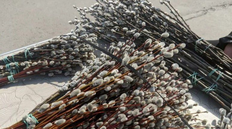 ������� ������� �����������