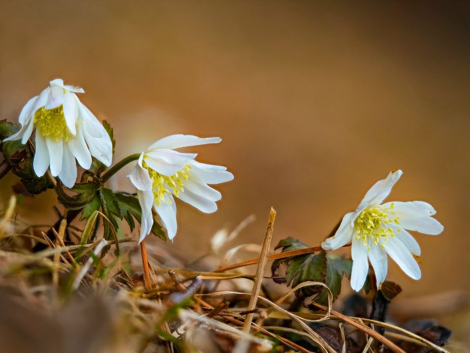 ������ �������� ����� ������������ � ��������� �����������