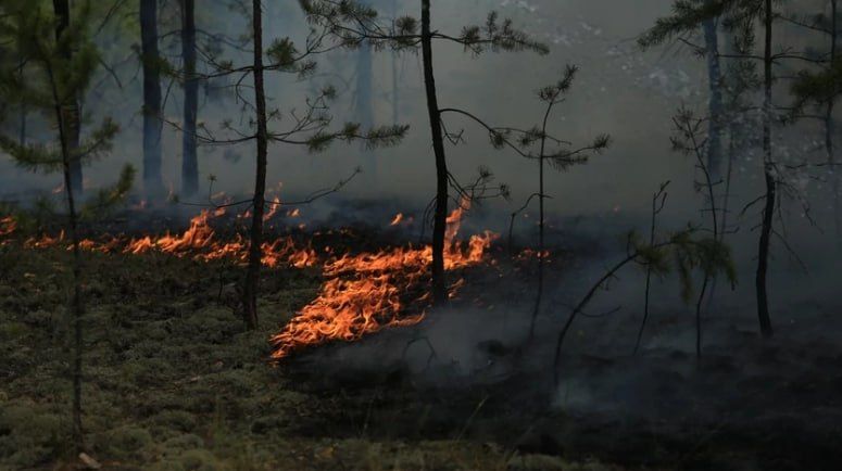 � ��������� ���� �������� ����� ������ �������������� ������