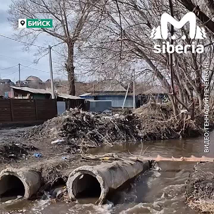 ���� �� ��������� ������������ �� ������� ������ ���������� � ������