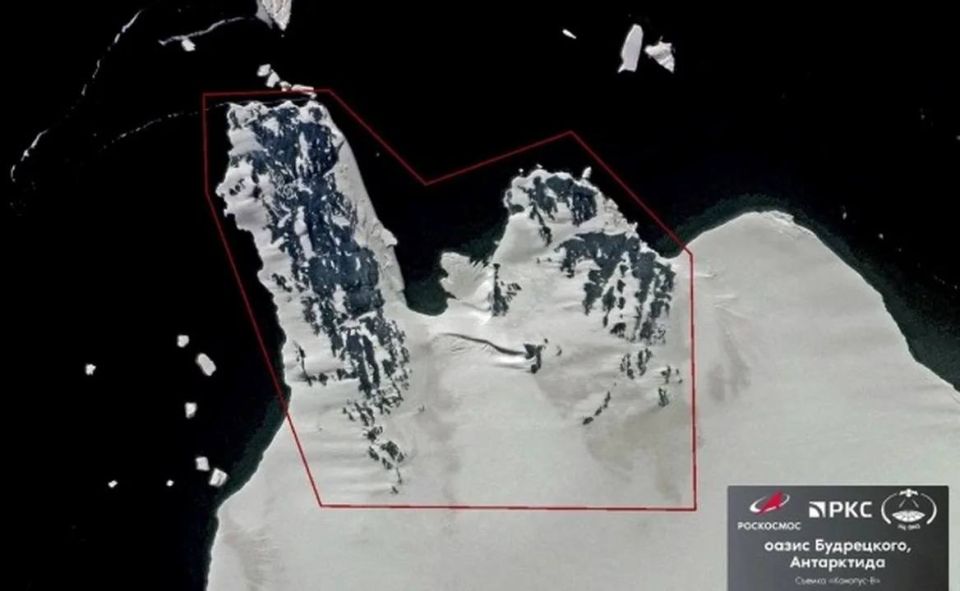 ���������� ������ ������� ����� ����� � ����������