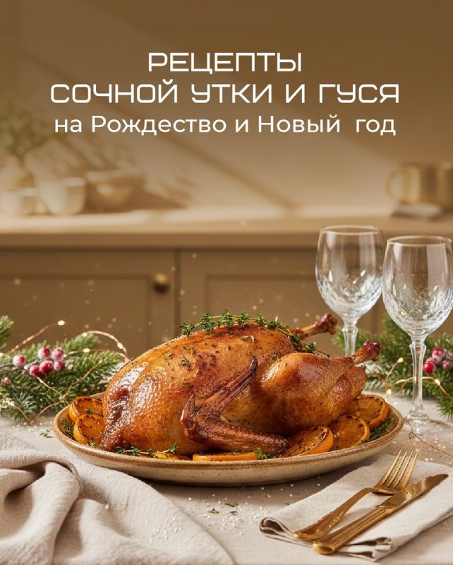 ������ ���� � ���� �� 40�50 �����: ������������ ������ � ����������� ������