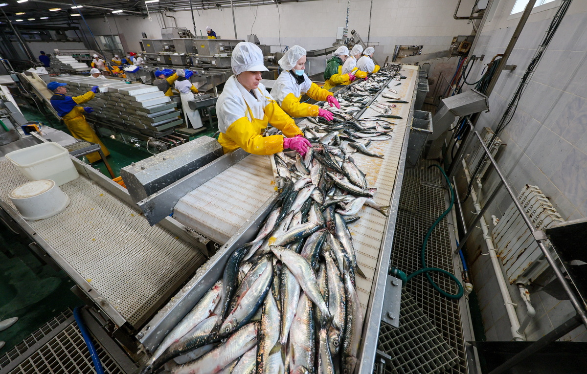 Государственный мониторинг цен на рыбу: что изменится для рынка?