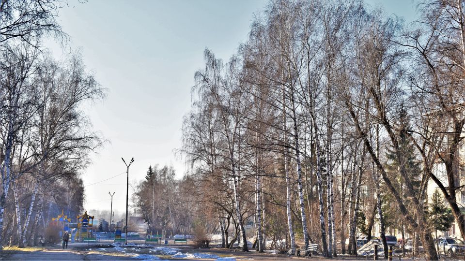 � ������ ���������� ������ ��������� �� �������� 50 ��� �����