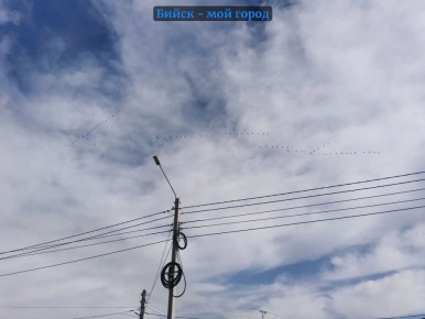 Сперва может показаться, что на этой картинке просто небо и провода