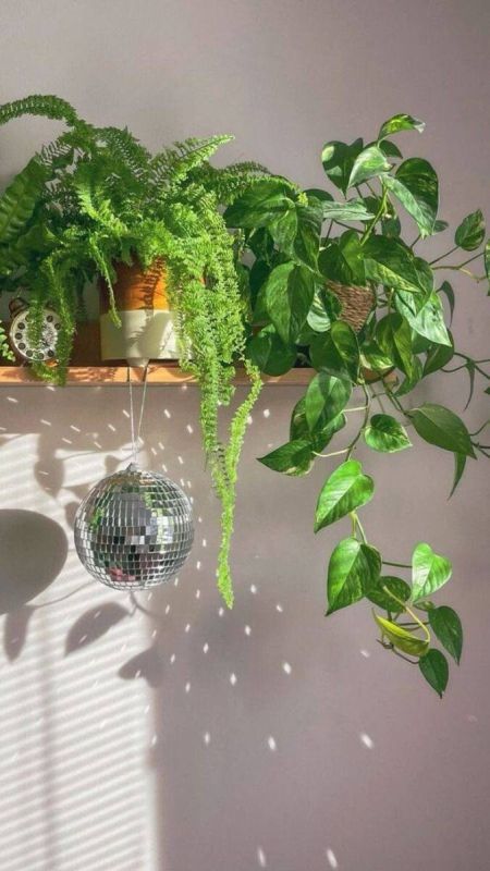 ��� ����� ������ ���� �� ���������� ����������: ������ ��� ��������� �����