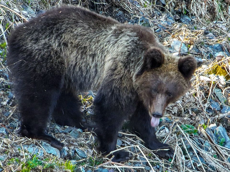 ������ ������� ����� �� ������ � ��������� ���������� �����������